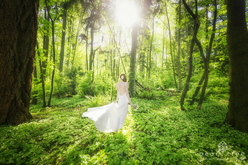 Pear Tree Photography wedding vendor photo