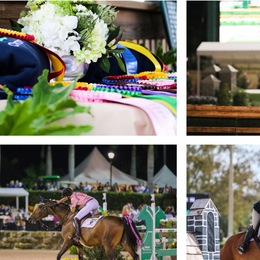 Carly Nasznic Photography photo