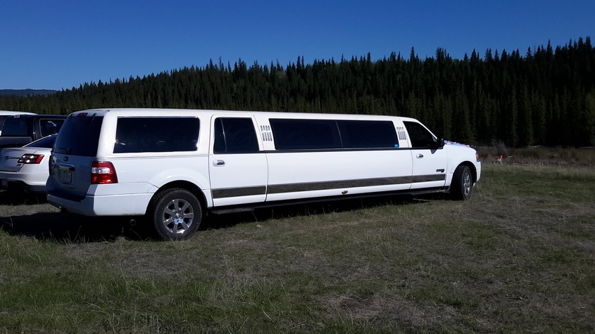 Al-limousine wedding vendor photo