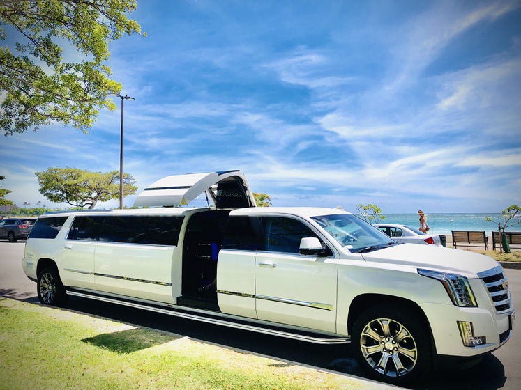 Top Limousine Service wedding vendor photo