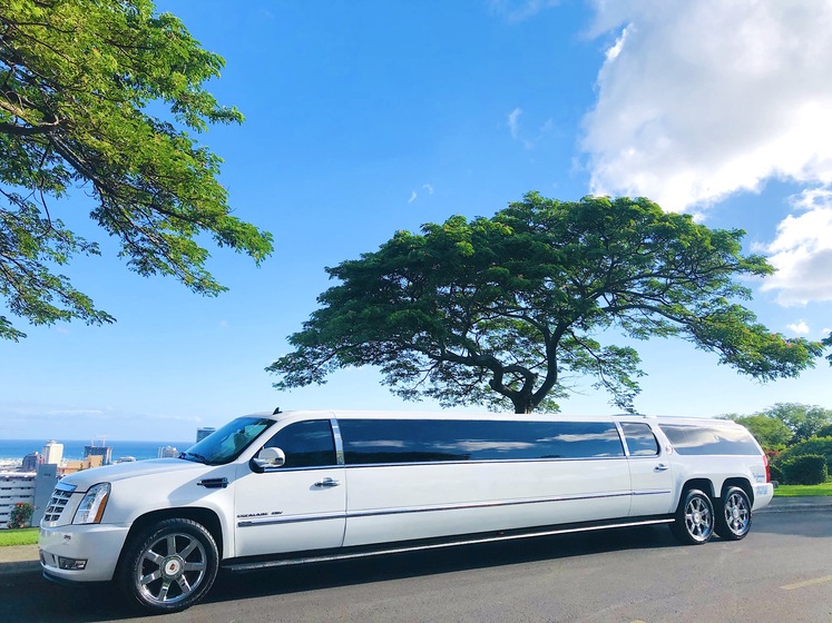 Top Limousine Service wedding vendor photo