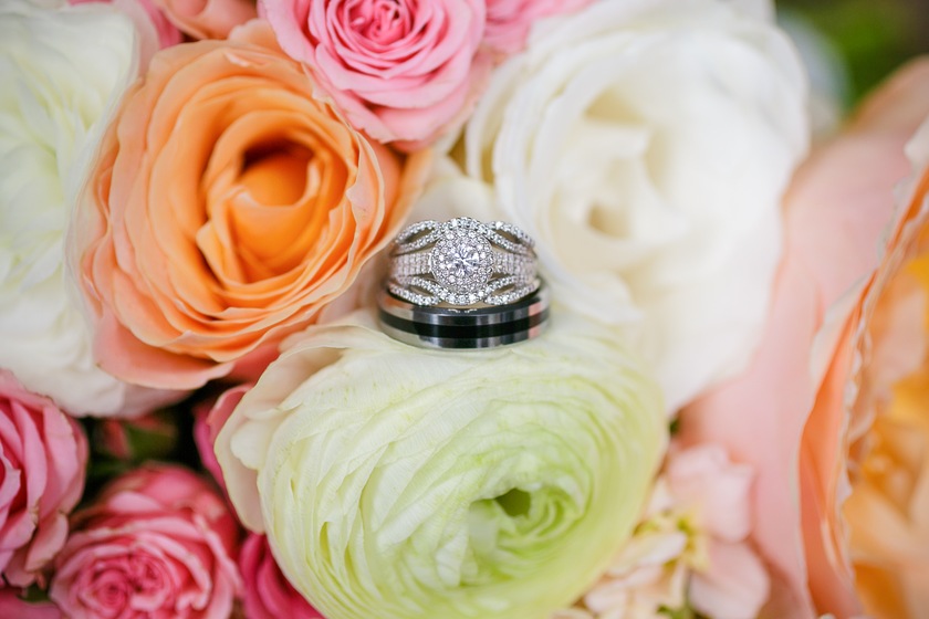 Love And Lenses Photography Llc wedding vendor photo